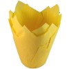 Formas Tulipa Amarelo